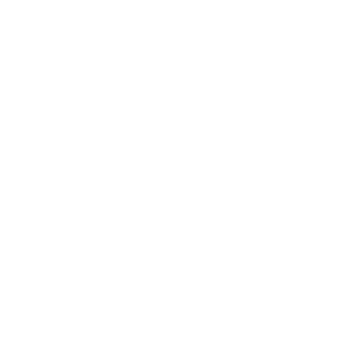 Strength And Aesthetics Club